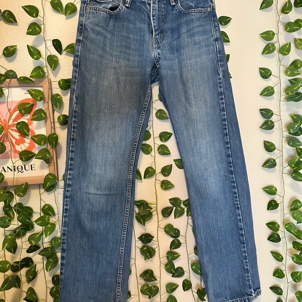 Levi's Men's Straight Blue Jeans 29